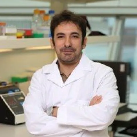 Romany Abskharon