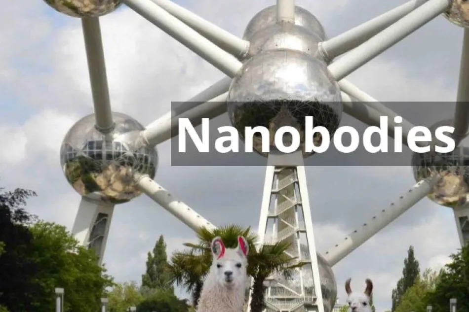 Nanobodies, 2nd edition
